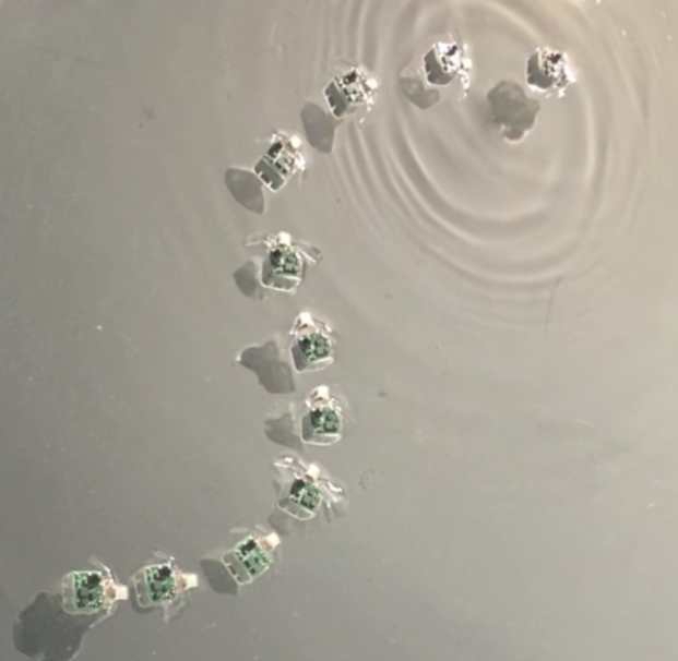 自驱动游泳机器人